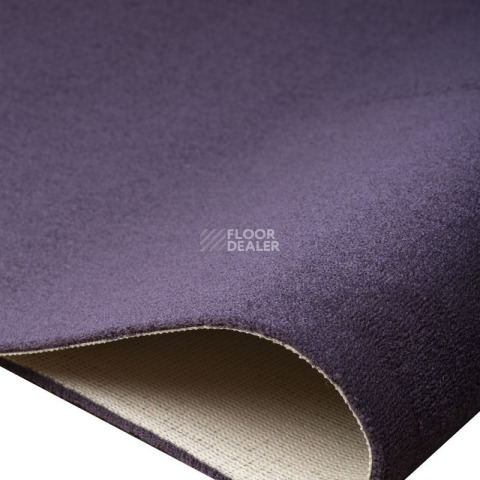 Condor  Magic 15 фото 3 | FLOORDEALER